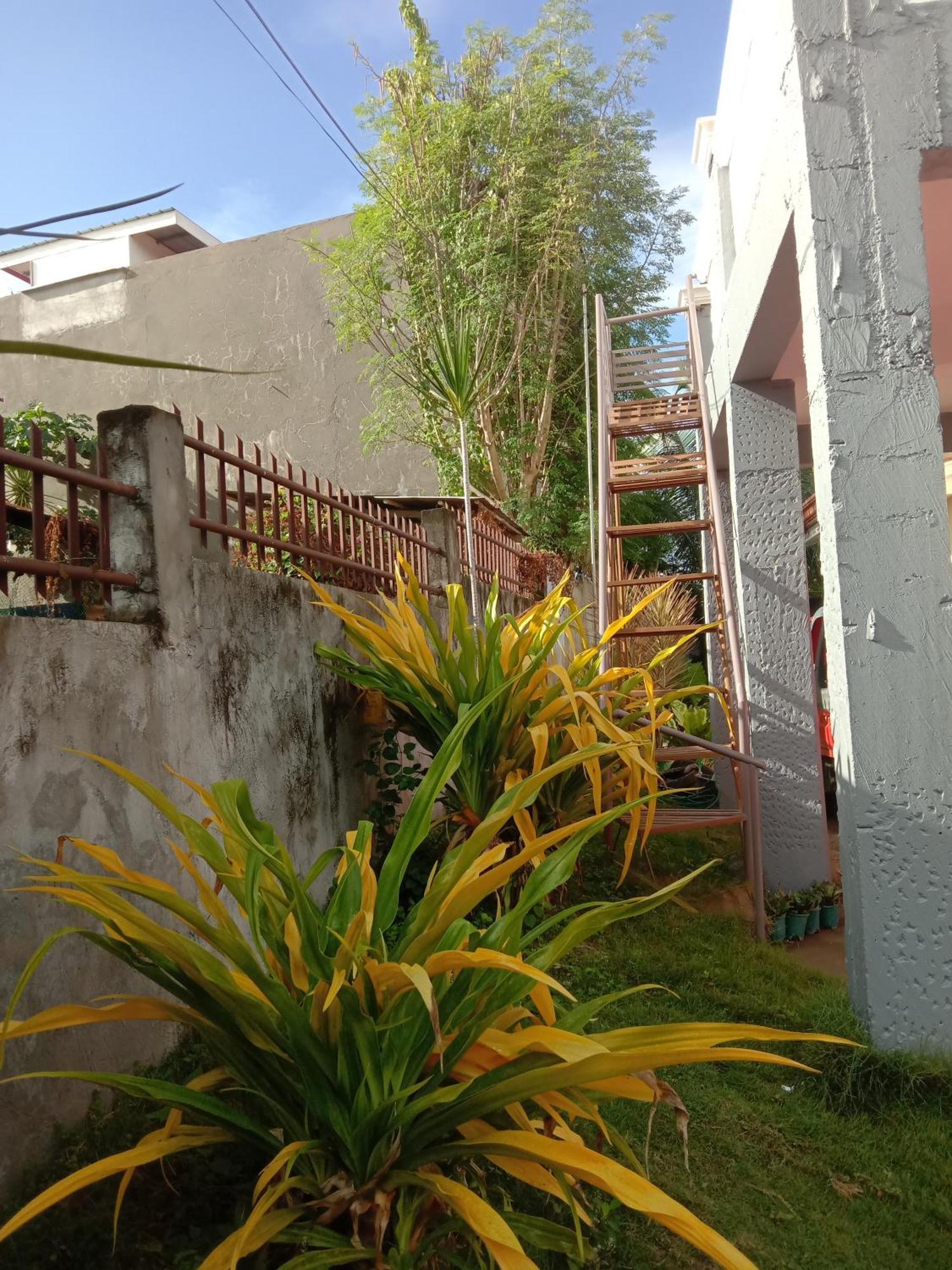 Friz Love Room Rental San Juan  Exteriör bild
